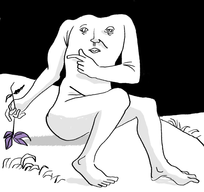 A Casa de Flores