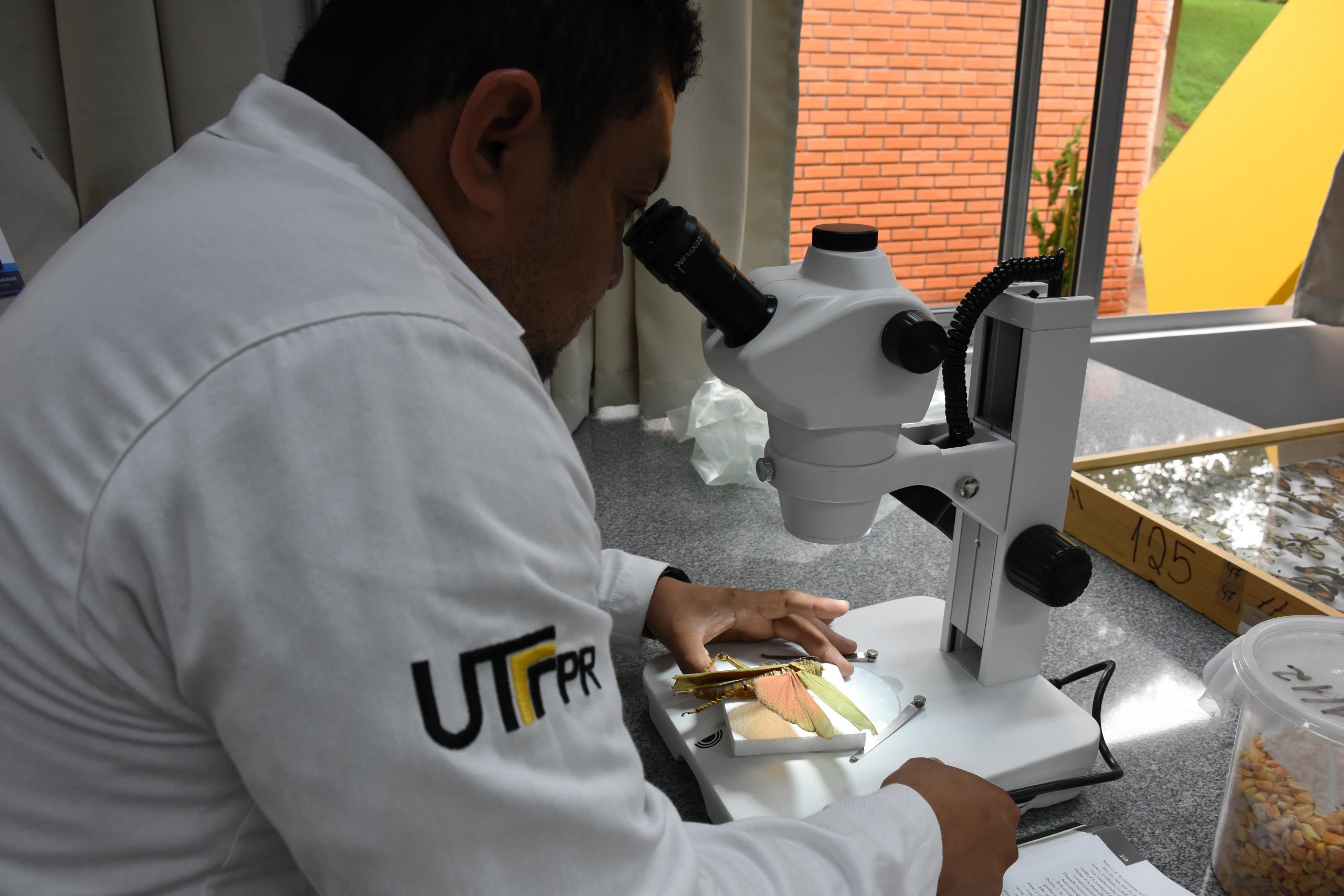 Universidades Federais do PR se destacam no Enade