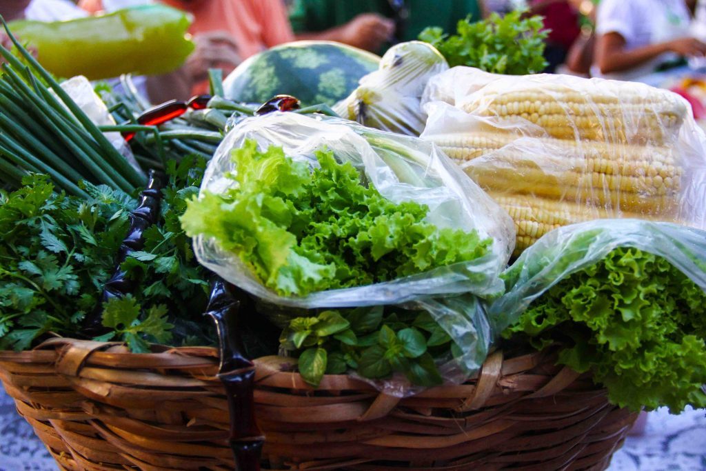 Feira de Agroecologia traz produtos orgânicos a Curitiba