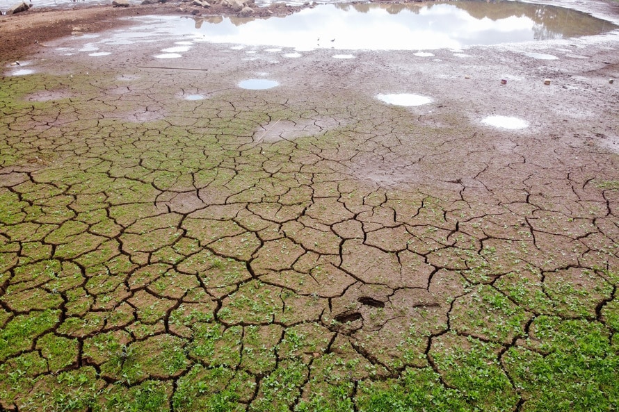 Céu de carneirinho