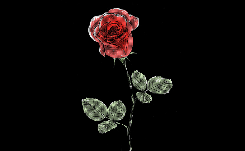 De que servem as flores