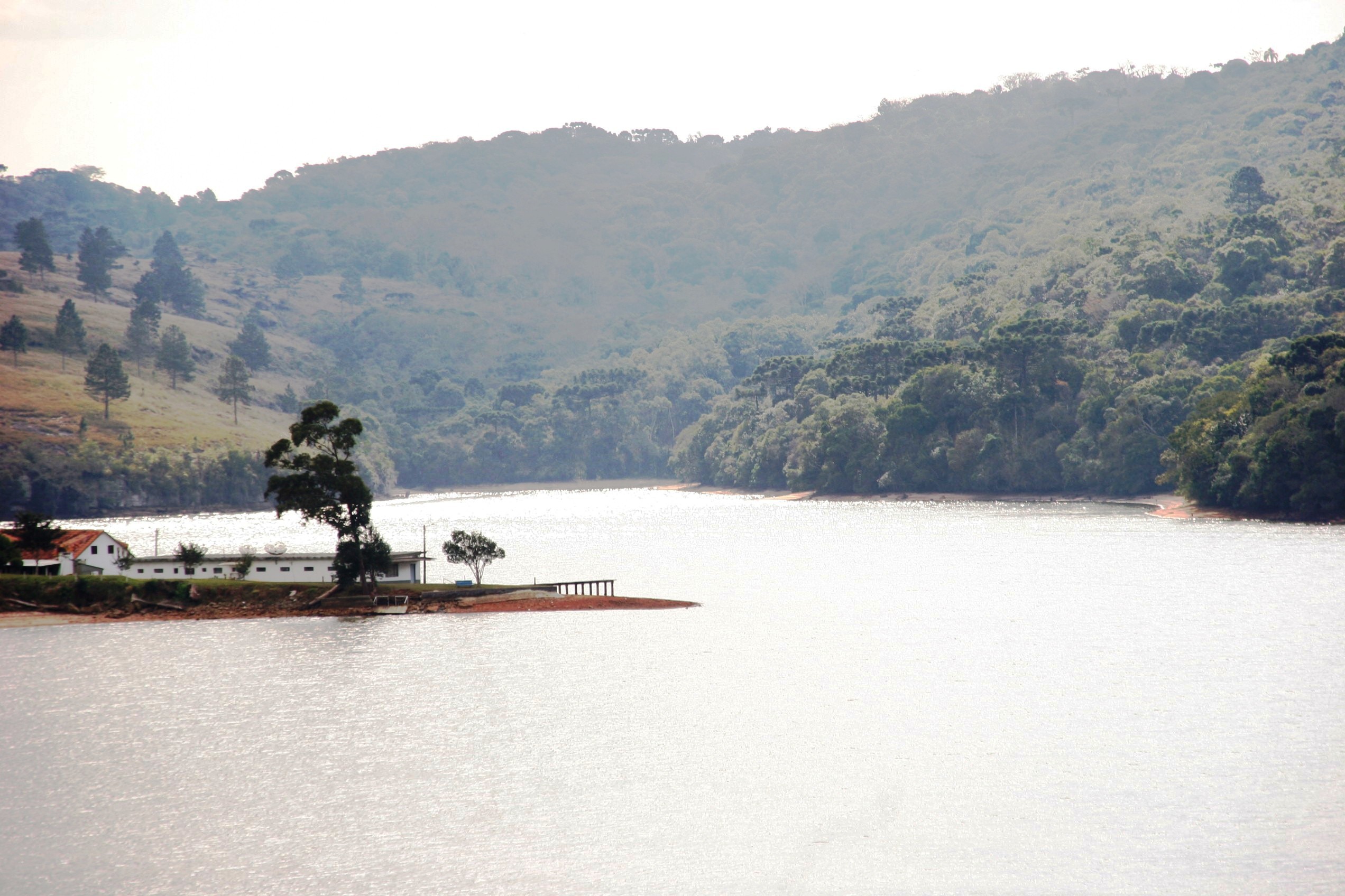 Interferências humanas podem ter causado a presença de microcrustáceos na água de Ponta Grossa