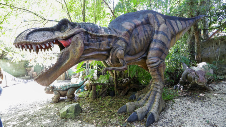 Parque dos Dinossauros chega a Pinhais em comemoração ao aniversário da cidade