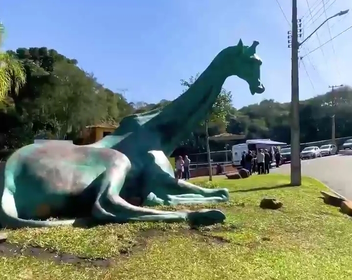 'Pandinha' comprada sem licitação já pode ser vista no zoológico de Curitiba