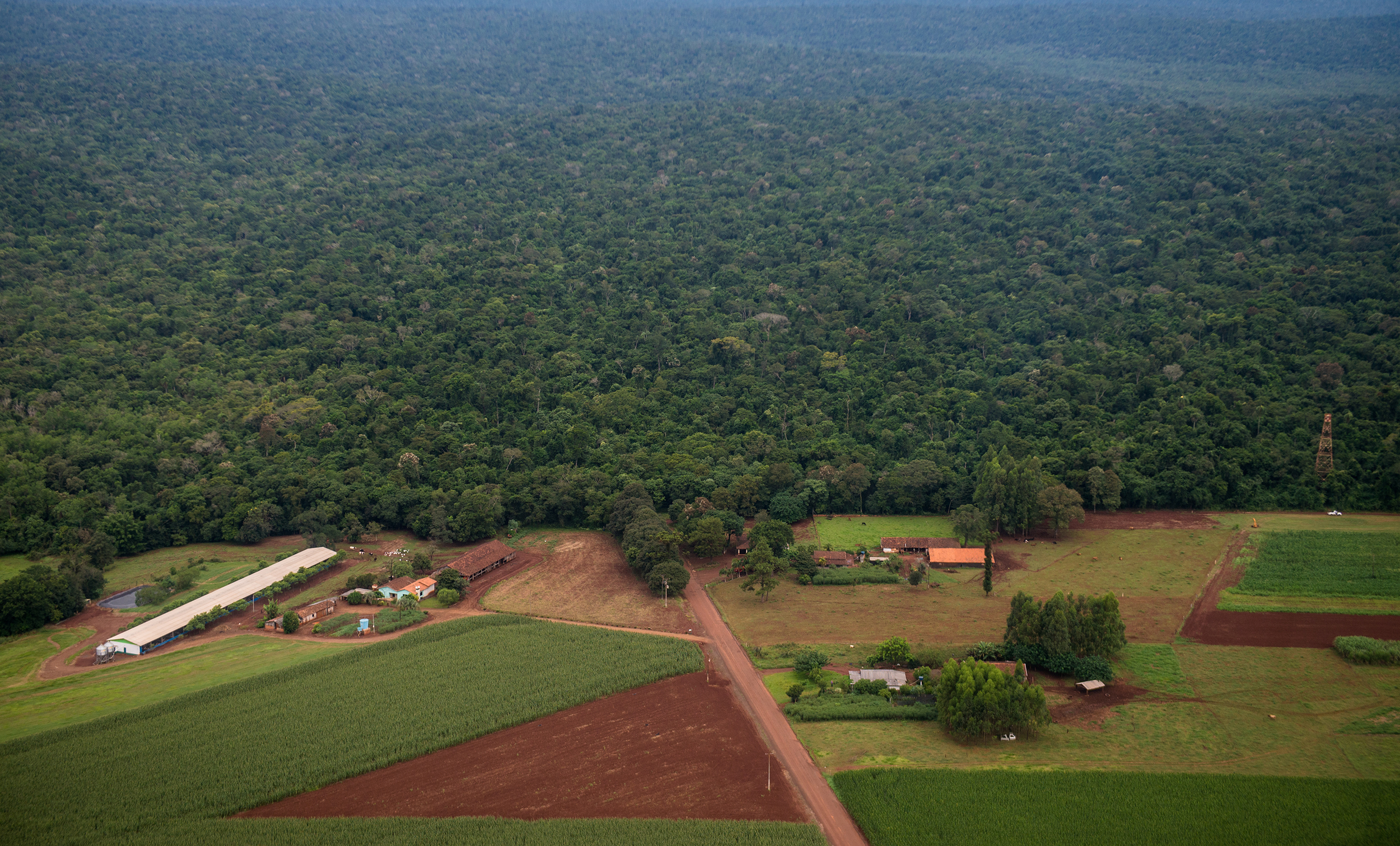 Entenda a gravidade do projeto que pretende abrir a Estrada do Colono