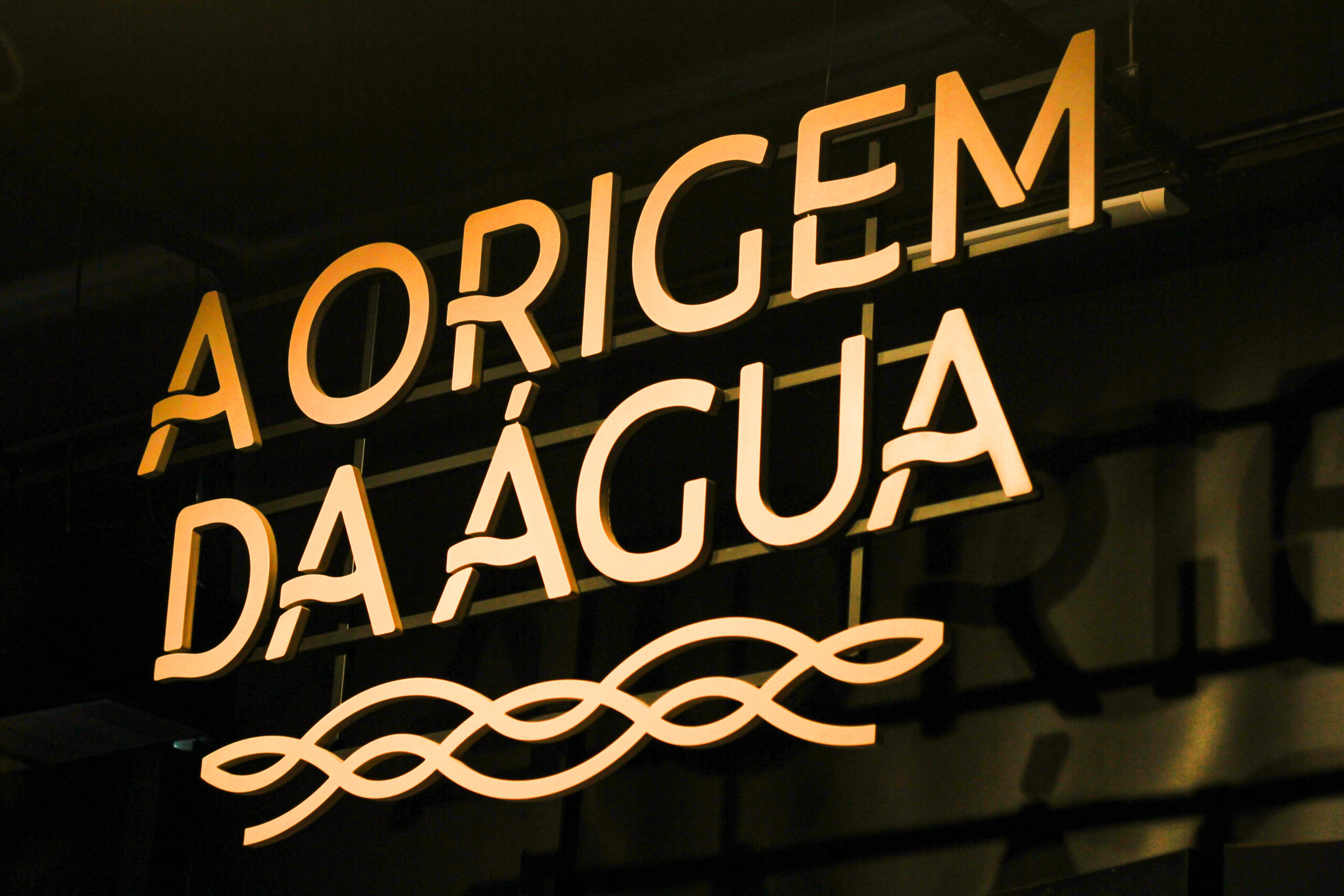 Água: de onde veio e o que é o líquido que representa vida