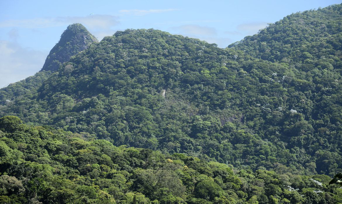 Com tratoraço e boiadas, governo do Paraná atenta mais uma vez contra o patrimônio ambiental do estado