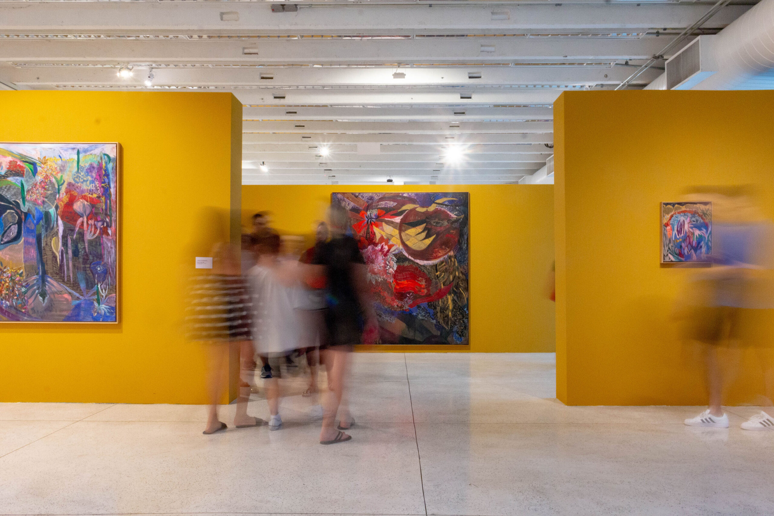 MAC Paraná prorroga exposição “A Terra e o Devaneio da Vontade”
