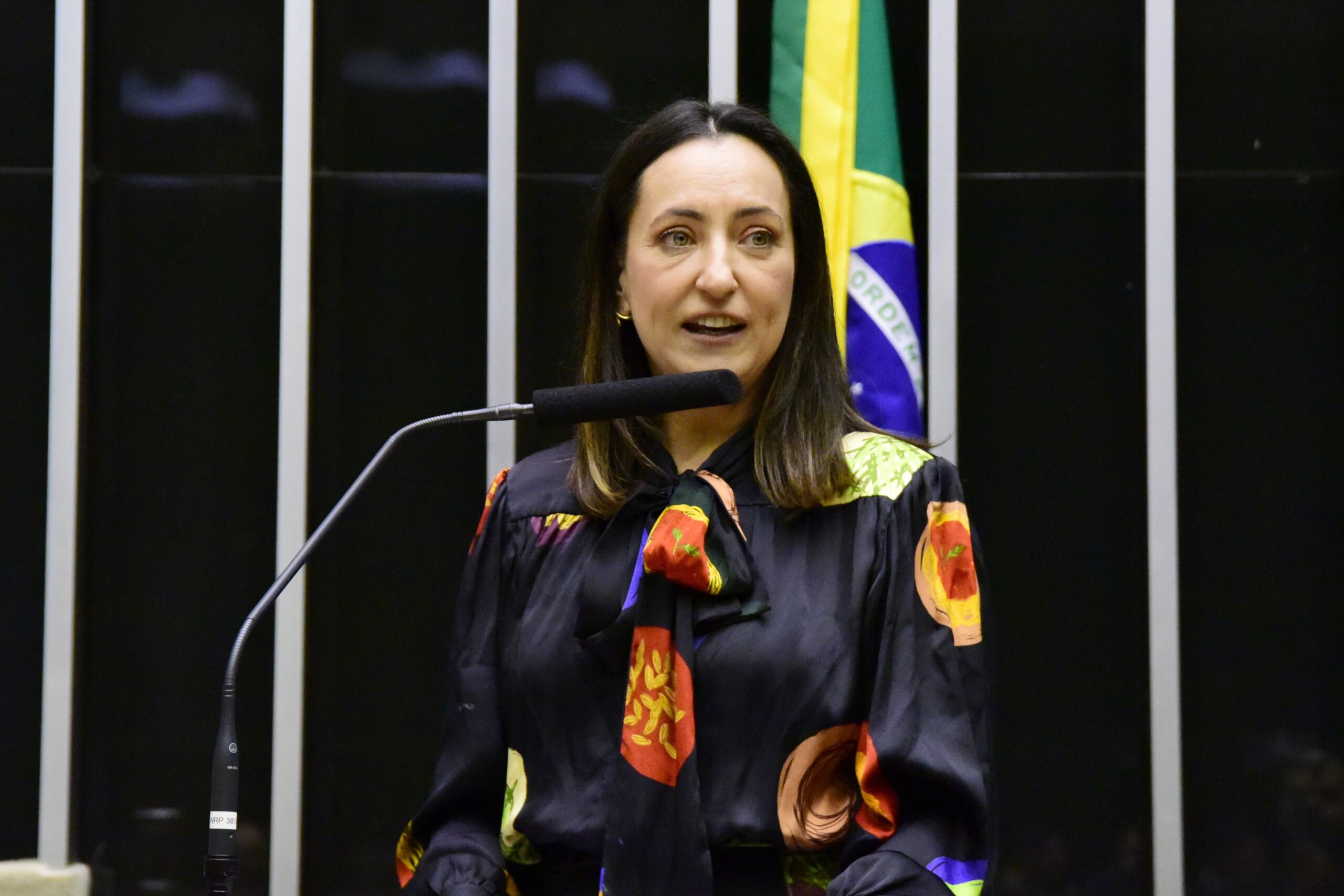Rosângela Moro transfere título para Curitiba e pode disputar vaga do marido no Senado