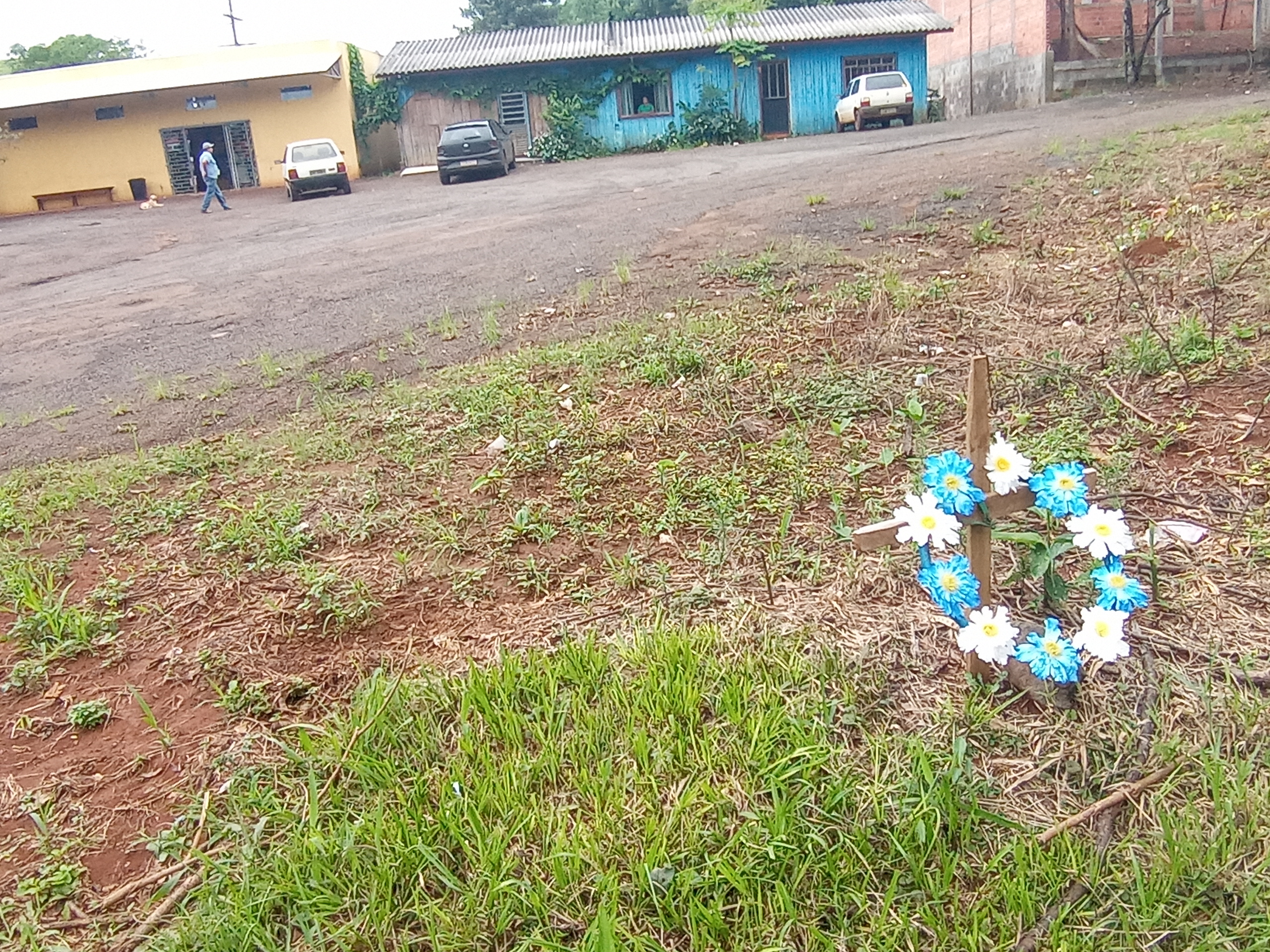 Atropelamentos matam 25 kaingangs em estradas que cortam terra indígena do Paraná