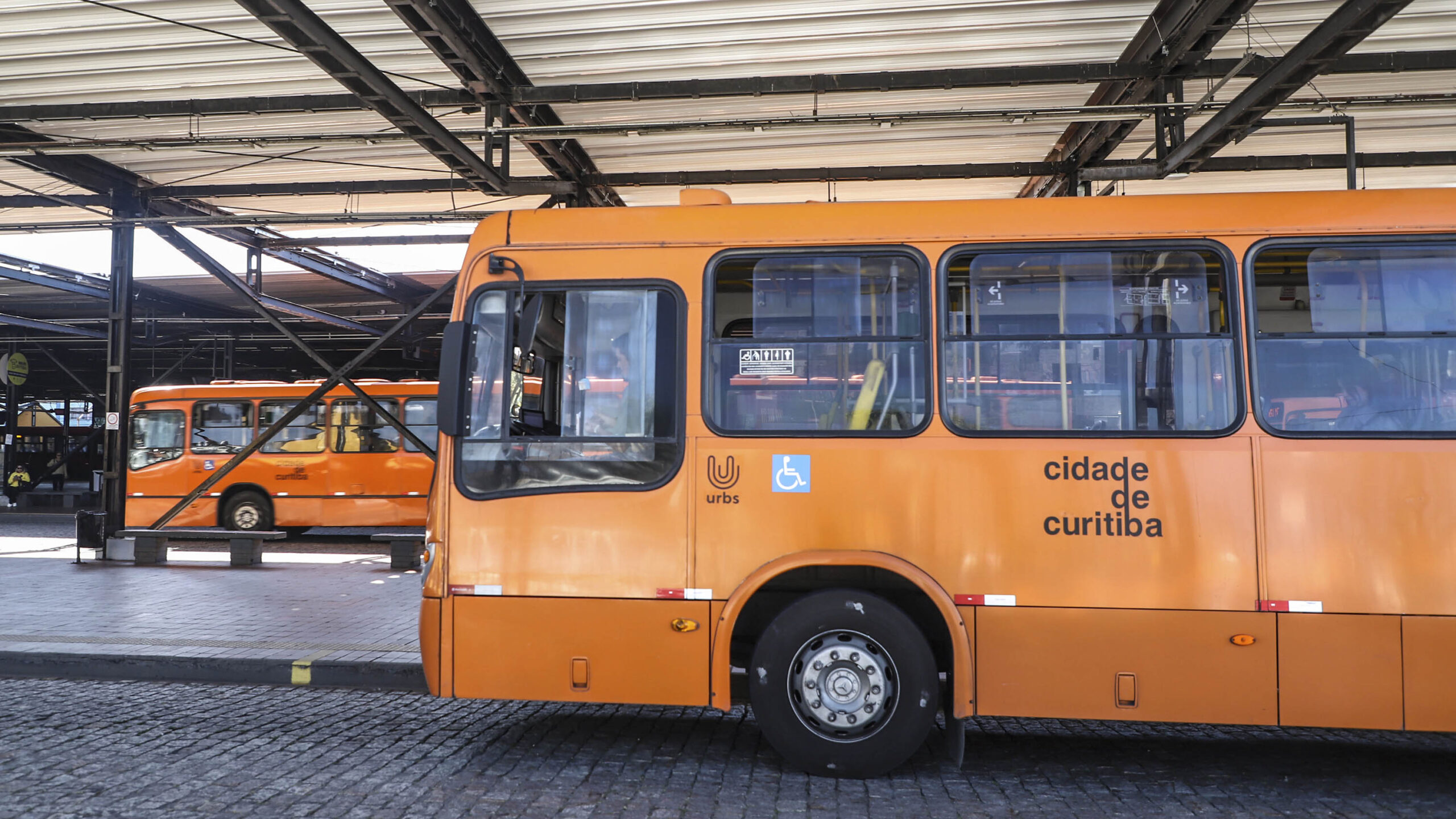Prefeitura determina desratização de ônibus do transporte coletivo