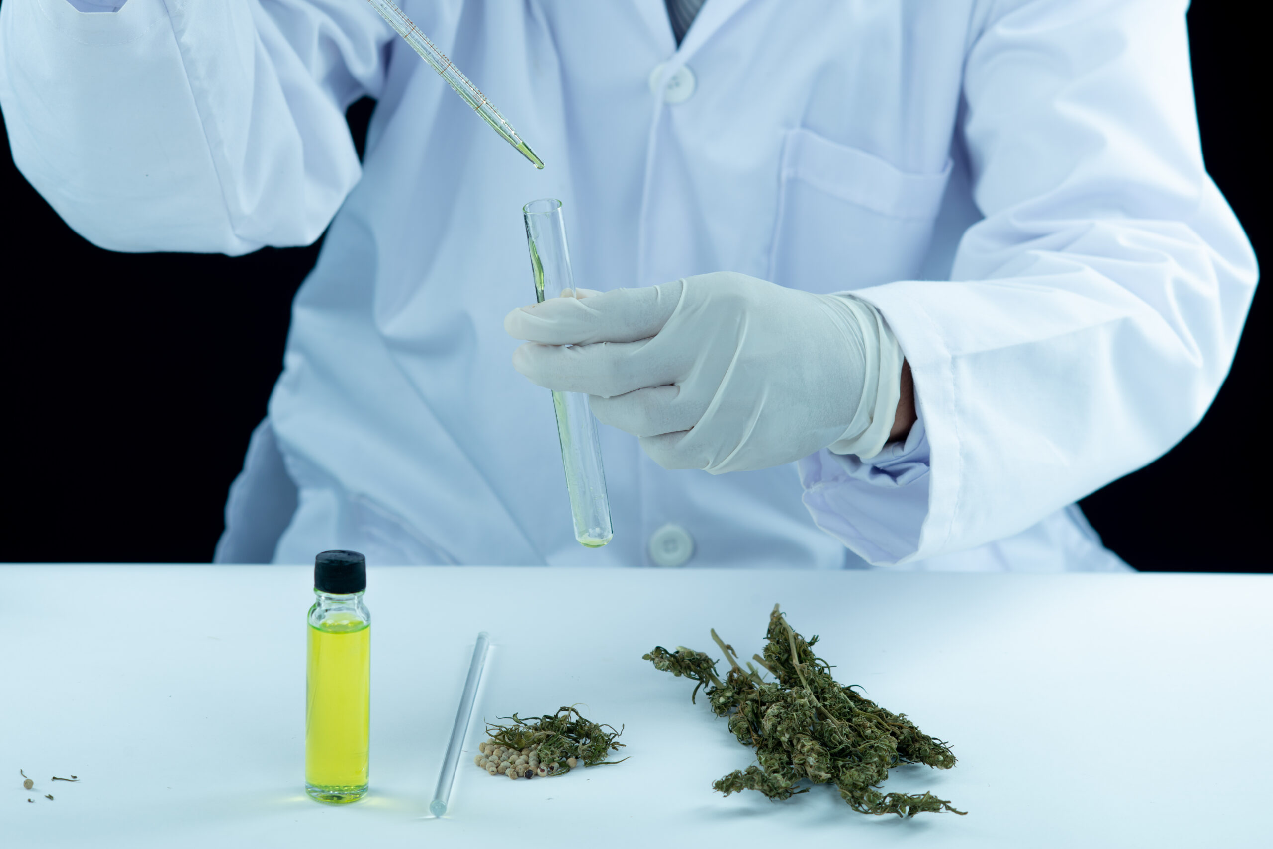 Curitiba recebe evento sobre medicina canabinoide
