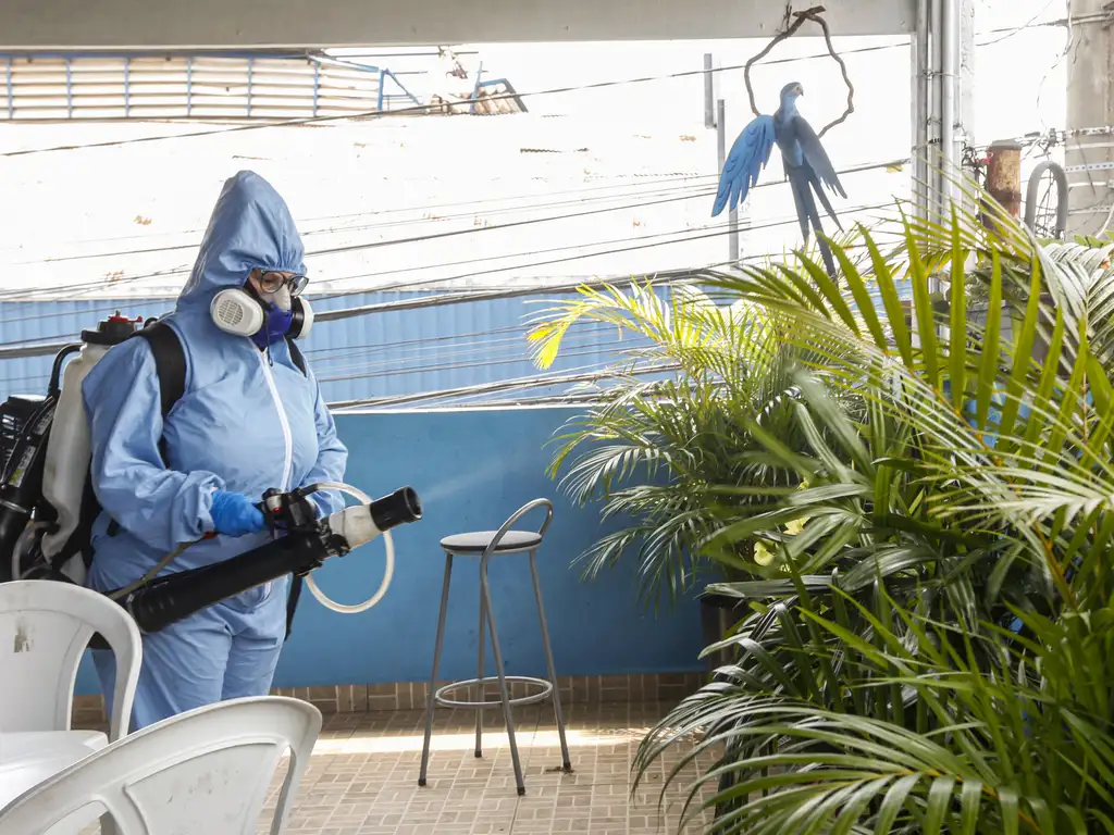 Casos de dengue diminuem, mas continuam a afetar a periferia