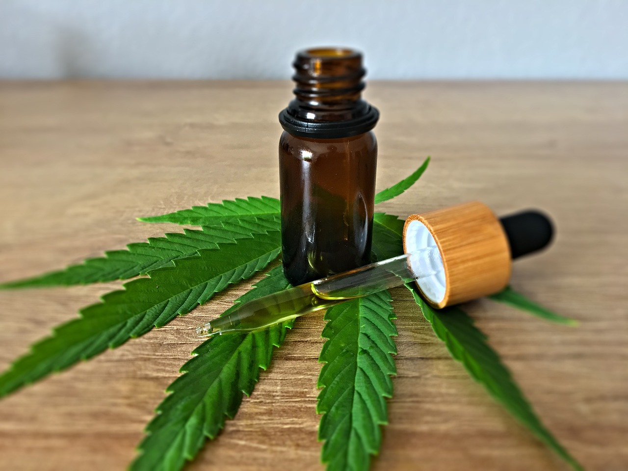 Associação oferta curso para prescrição de cannabis