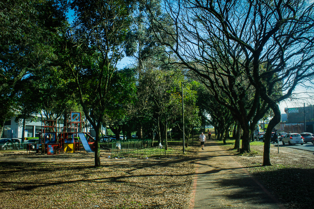 Obras na Artur Bernardes devem atingir 13 araucárias
