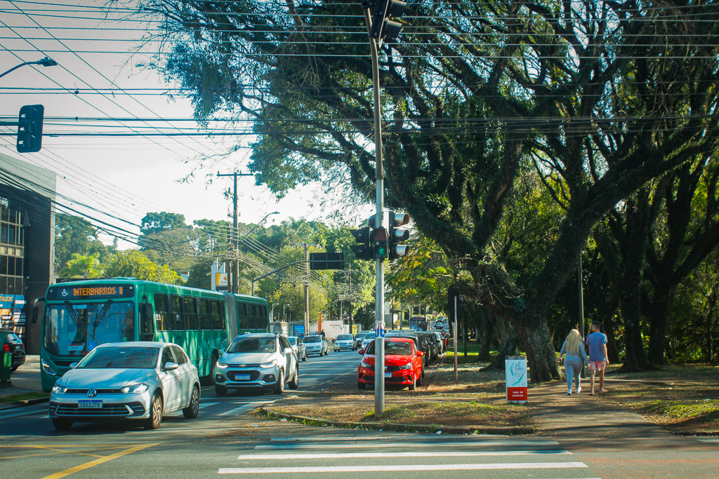 Licença ambiental prevê o corte de 642 árvores para obras do novo Inter 2 em Curitiba