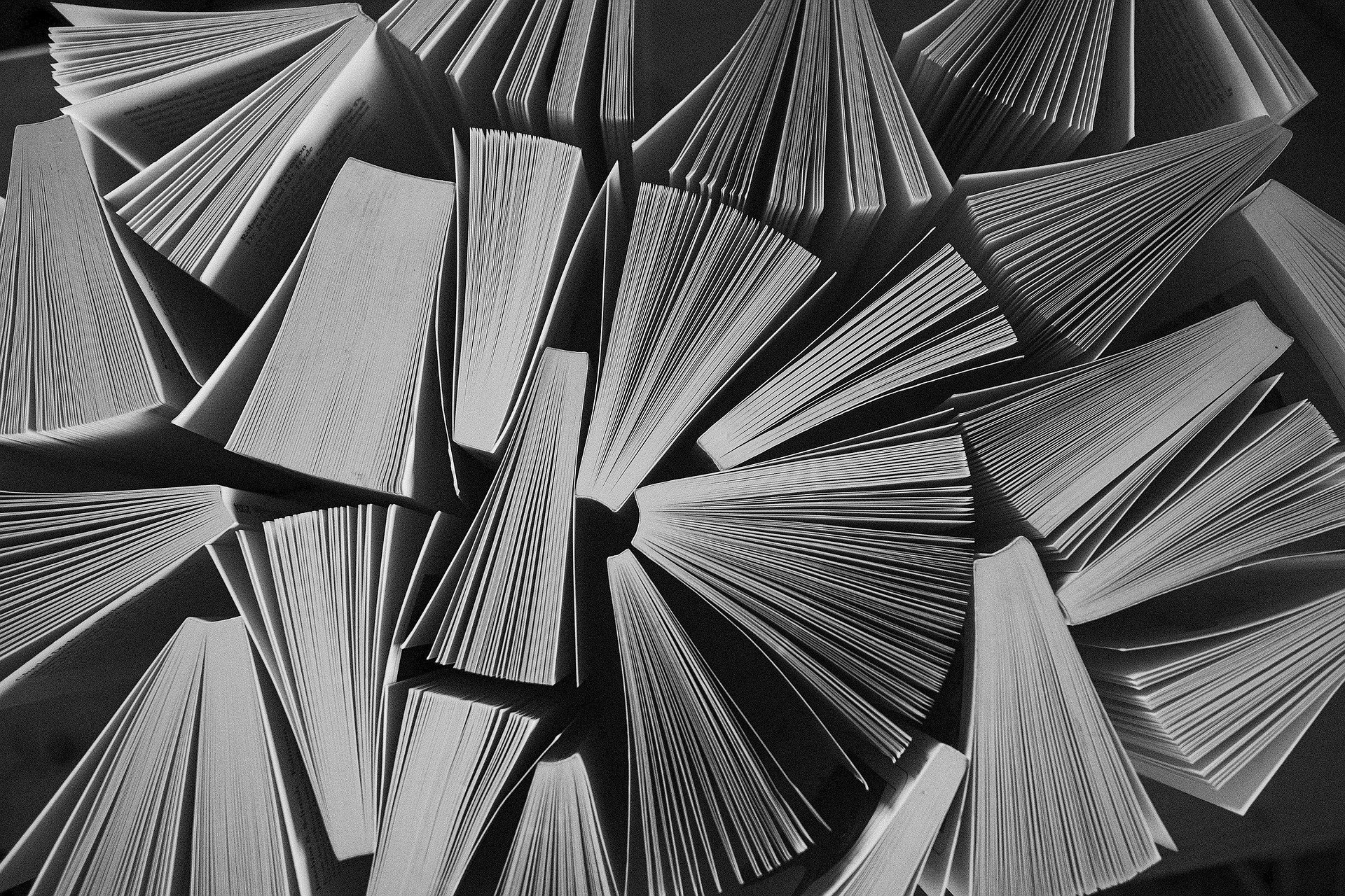 Plural fará sábado última Troca de Livros e Ideias do Ano