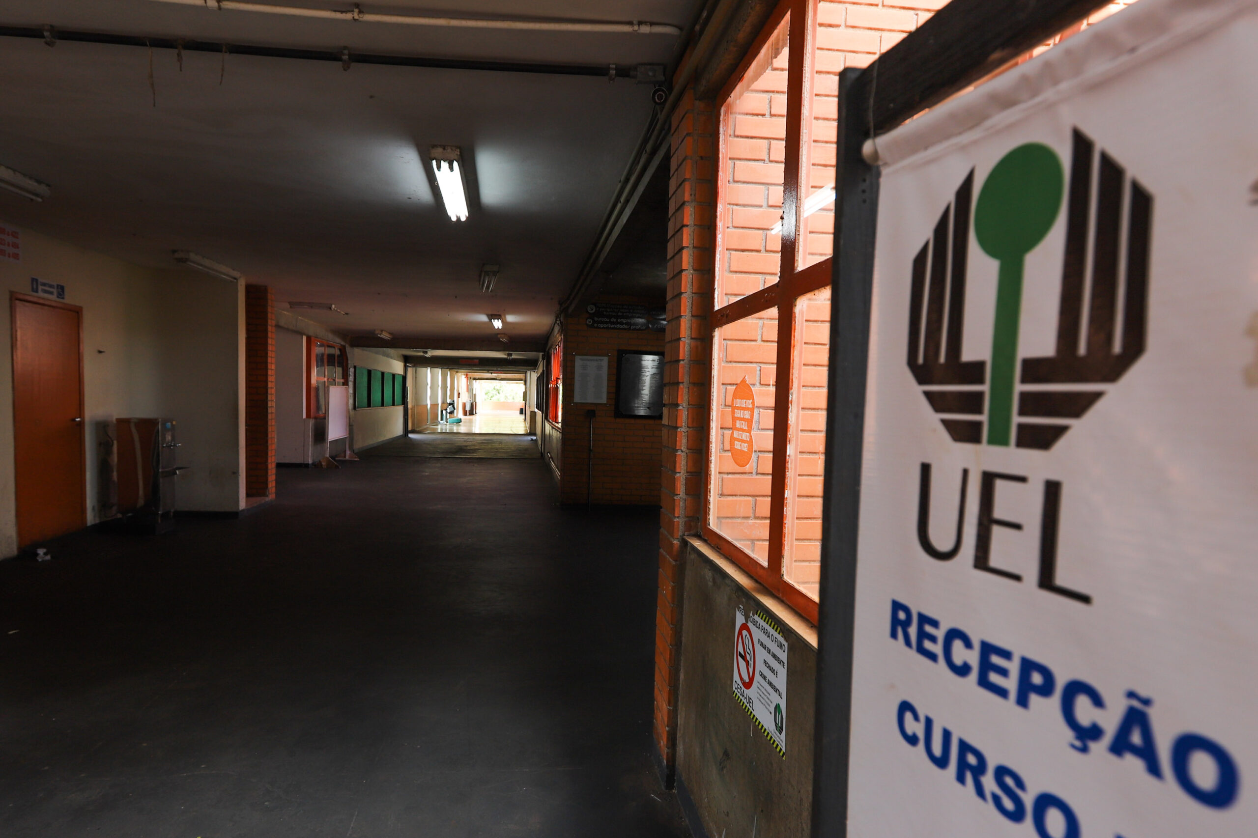 Lei de Ratinho sobre universidades estaduais tem pontos inconstitucionais, conclui desembargador