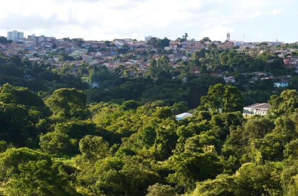 Área com 71 mil metros quadrados de vegetação nativa pode virar condomínio de luxo em Ponta Grossa