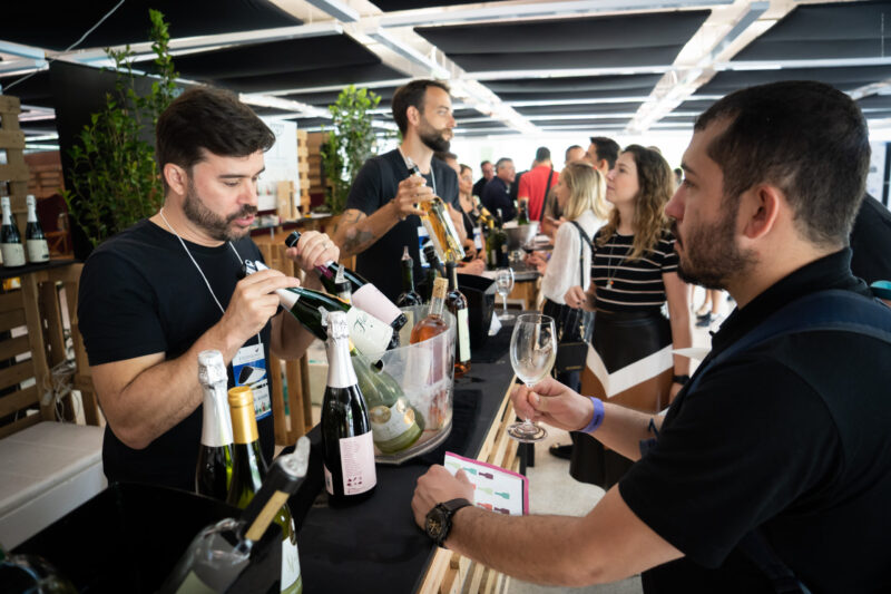Festival VINOPAR reúne vinícolas paranaenses premiadas no Museu Oscar Niemeyer